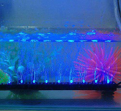 LED水底燈使用時，需要注意哪些事項(xiàng)(圖1)